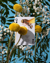 Load image into Gallery viewer, Eastern Forest Playing Cards