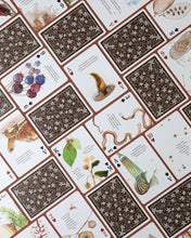 Load image into Gallery viewer, Eastern Forest Playing Cards