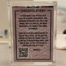 Load image into Gallery viewer, Unbroken Playing Cards (Silver Storm Box)