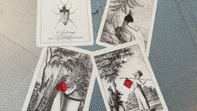 Load image into Gallery viewer, Cotta's Almanac #1 Transformation (Blue) Playing Cards