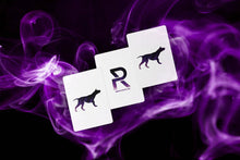 Load image into Gallery viewer, Sirius B V5 Playing Cards