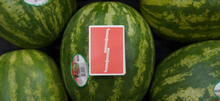 Load image into Gallery viewer, Fontaine Watermelon Playing Cards