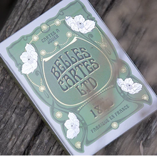 Load image into Gallery viewer, World Tour Playing Cards