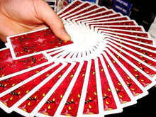Load image into Gallery viewer, Bee Watermelon Playing Cards Set (Ding)

