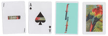 Load image into Gallery viewer, Parrot Fontaine Playing Cards
